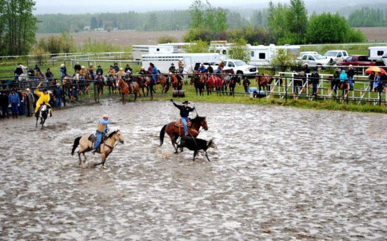 Alder Flats 2 1 768x479