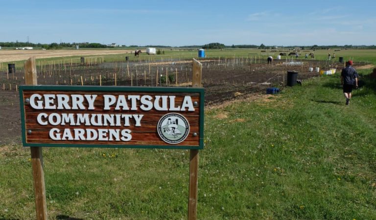 Beaumont Community Gardens 1 768x450