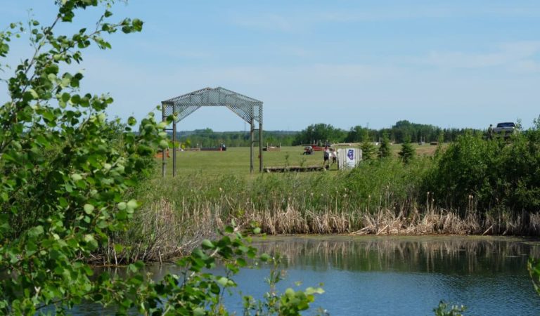 Beaumont Fairgrounds 1 768x450