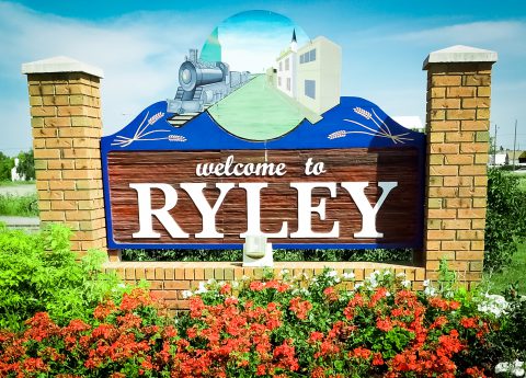 Beaver Heritage Ag Ryley