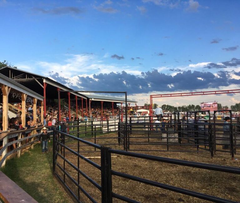 Benalto Ag Society 2 768x651