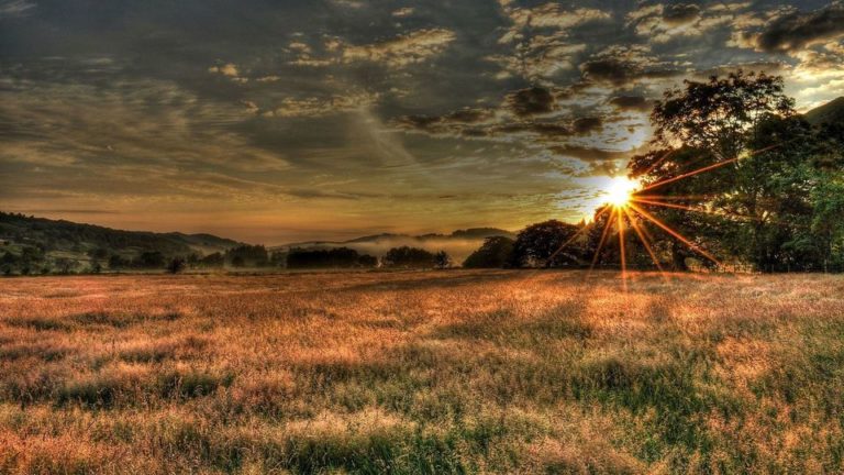 Berwyn Ag Society pic 3 768x432