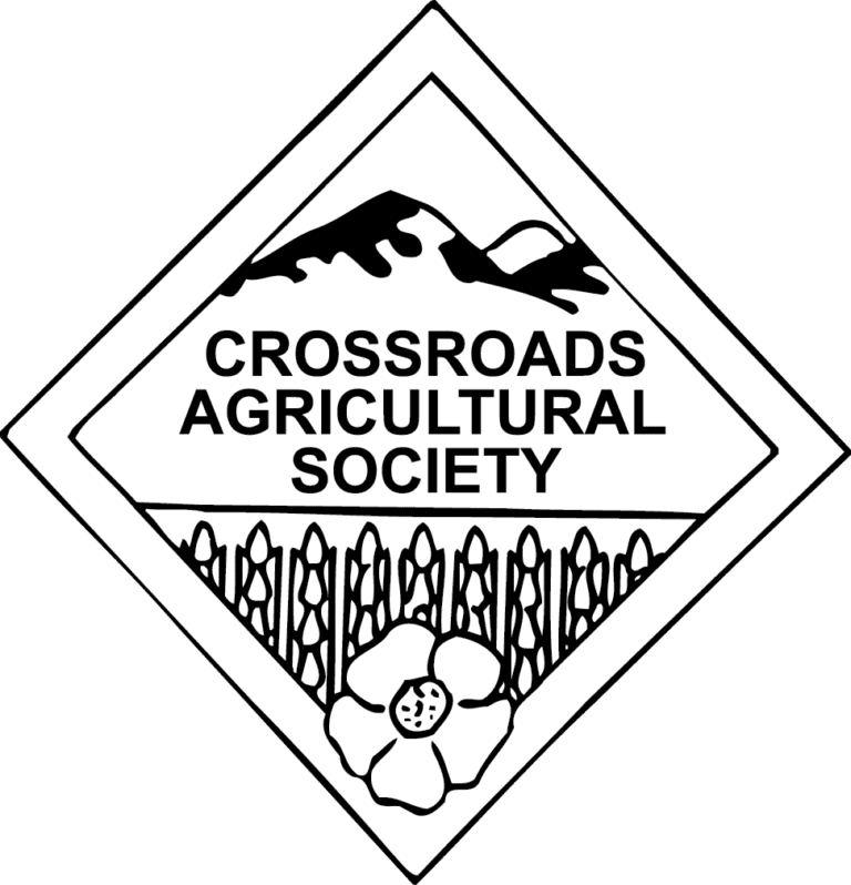 CROSSORADS AG logo 768x798