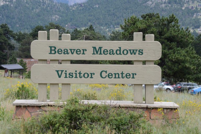 Beaver Meadow image 1 768x511
