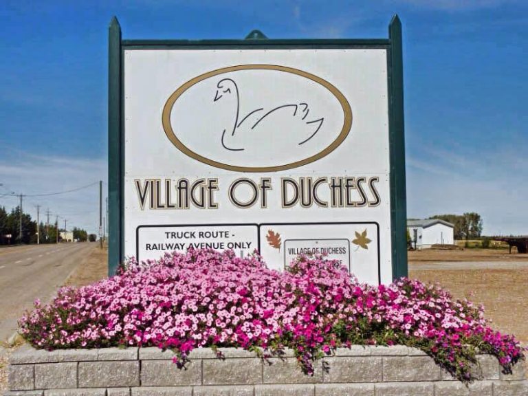 Duchess Ag Image 1 768x576