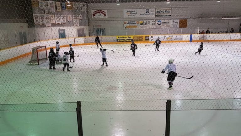 Linaria image 1 768x432