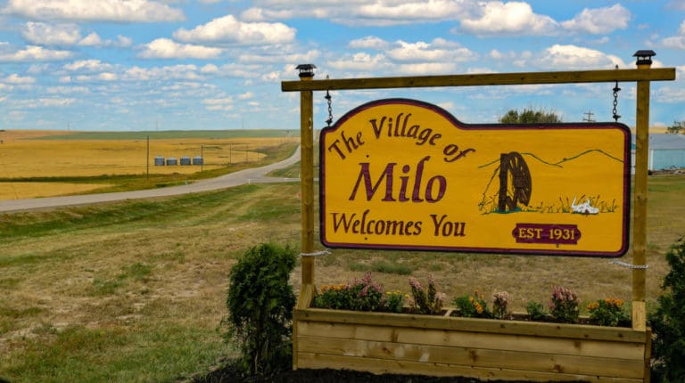 Milo Image 768x430