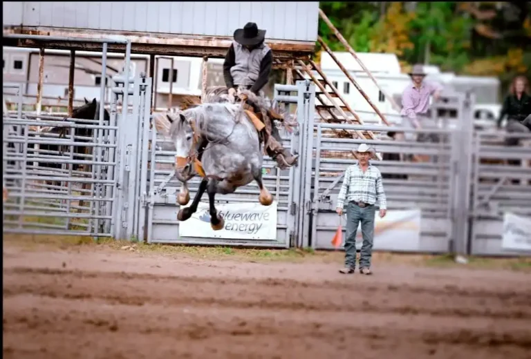 Rodeo 768x520