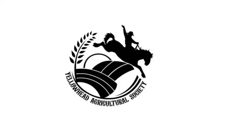 logo 768x432
