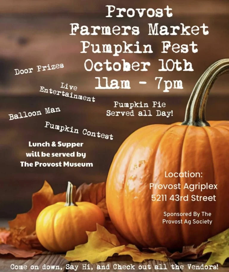 pumpkin fest 2025 768x911